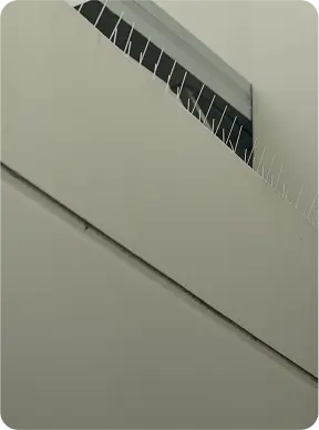 Bird control spikes on a wall