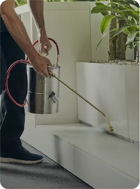 Spraying for common pests