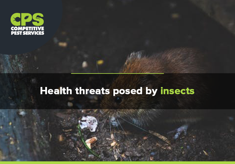 Health threats posed by insects