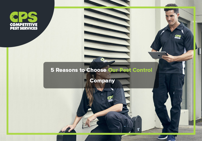 5 Reasons to Choose Our Pest Control Company