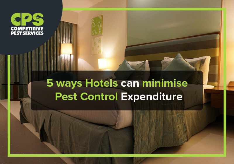 5 ways Hotels can minimise Pest Control Expenditure