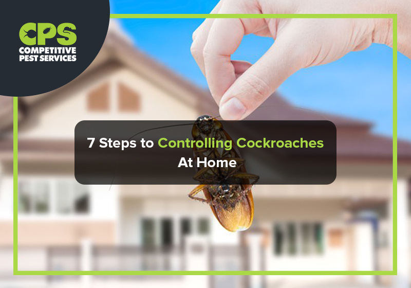 7 Steps to Controlling Cockroaches At Home