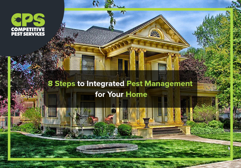 8 Steps to Integrated Pest Management for Your Home