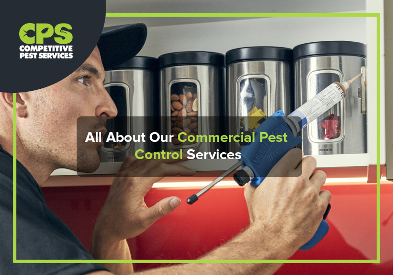 All About Our Commercial Pest Control Services