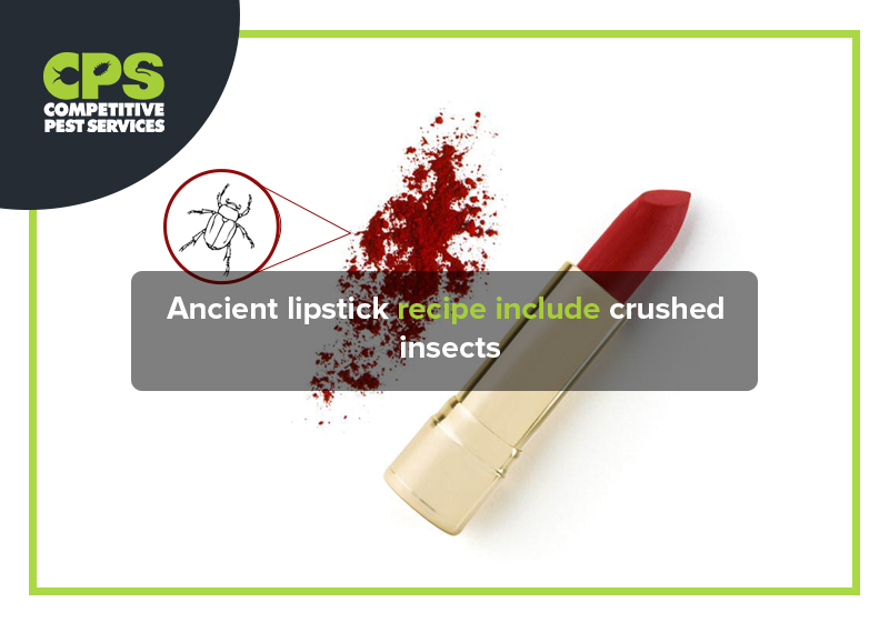 Ancient lipstick recipe include crushed insects