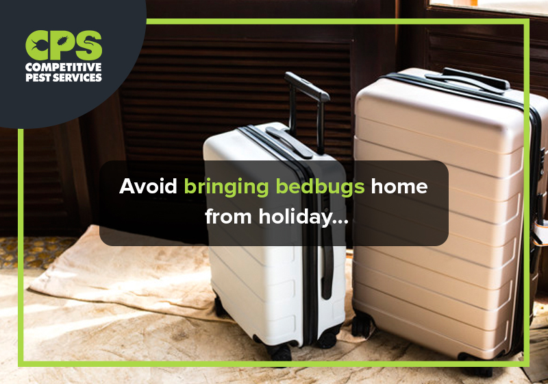 Avoid bringing bedbugs home from holiday…