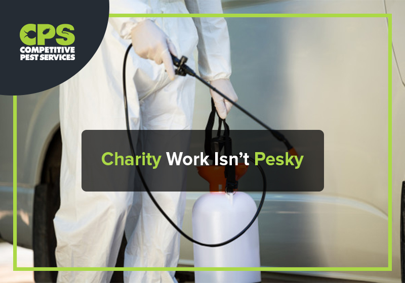 Charity Work Isn’t Pesky