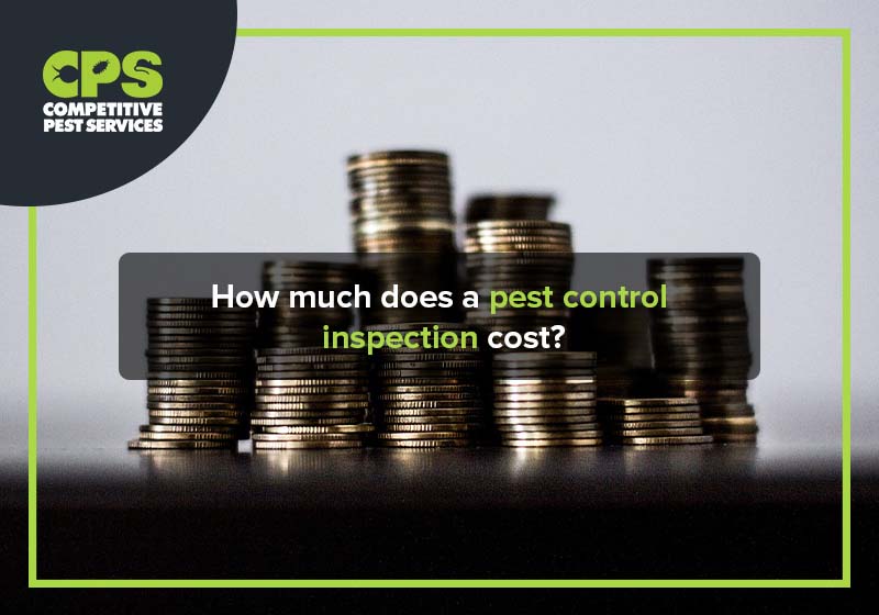 How much does a pest control inspection cost?