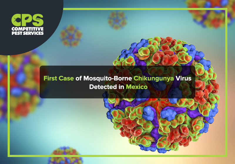 First Case of Mosquito-Borne Chikungunya Virus Detected in Mexico