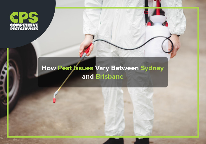 How Pest Issues Vary Between Sydney and Brisbane