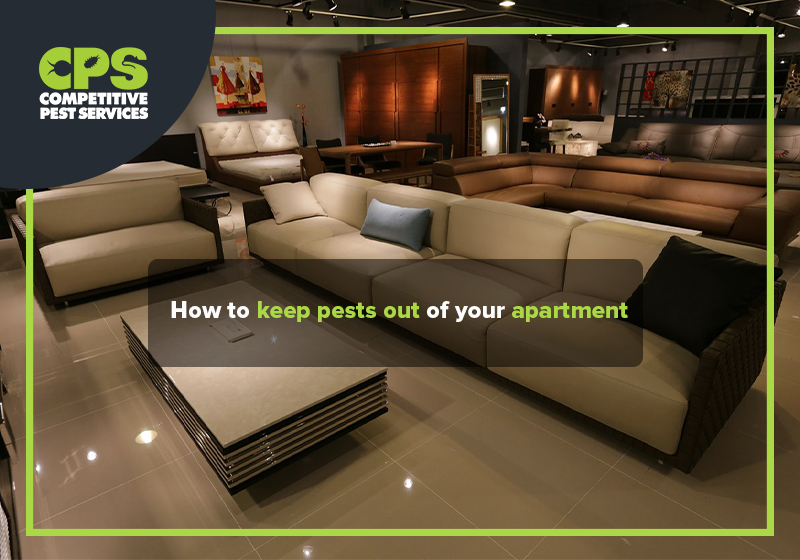 How to keep pests out of your apartment