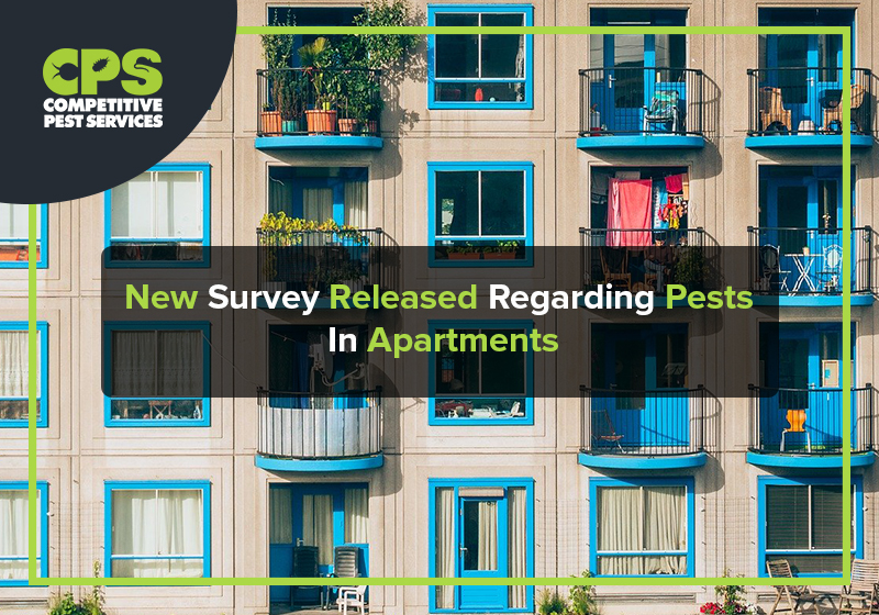 New Survey Released Regarding Pests In Apartments