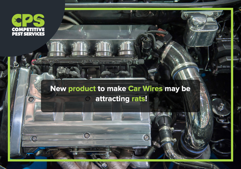 New product to make Car Wires may be attracting rats!