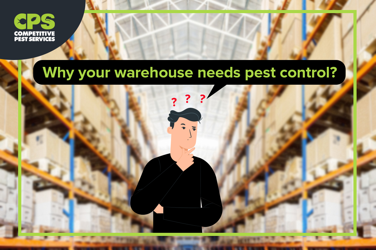Why your warehouse needs pest control?