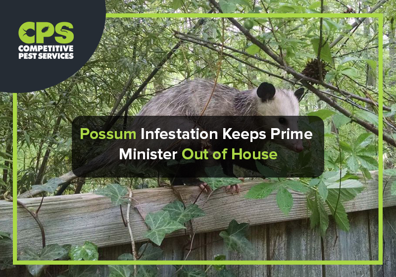Possum Infestation Keeps Prime Minister Out of House
