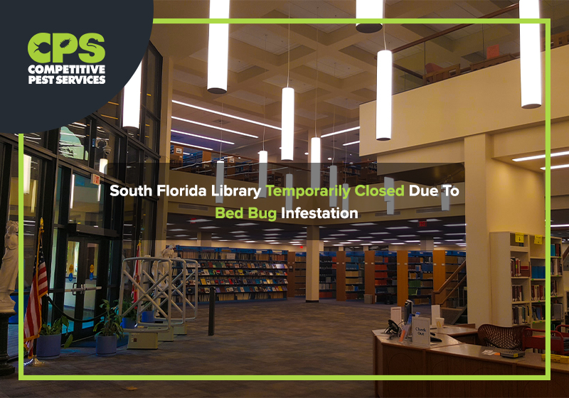 South Florida Library Temporarily Closed Due To Bed Bug Infestation