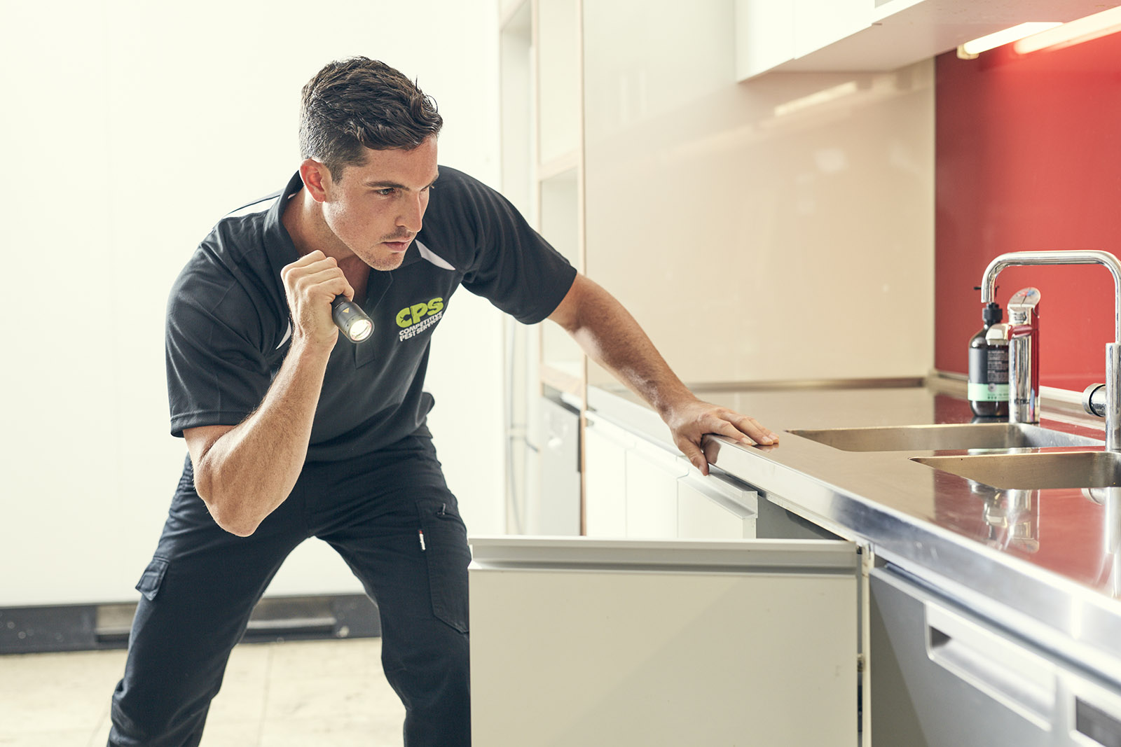 Pest Control Brisbane