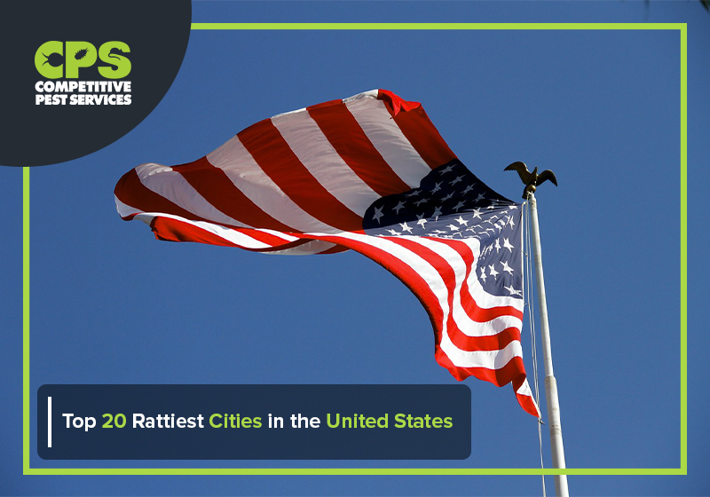 Top 20 Rattiest Cities in the United States
