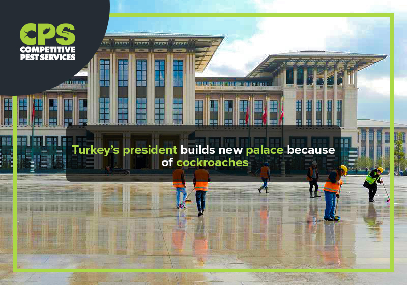 Turkey’s president builds new palace because of cockroaches