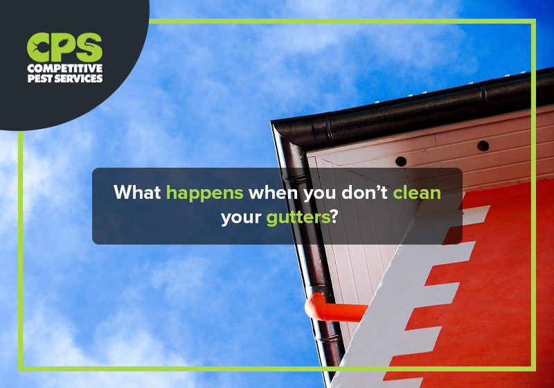 What happens when you don’t clean your gutters?