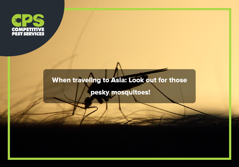 When traveling to Asia: Look out for those pesky mosquitoes!