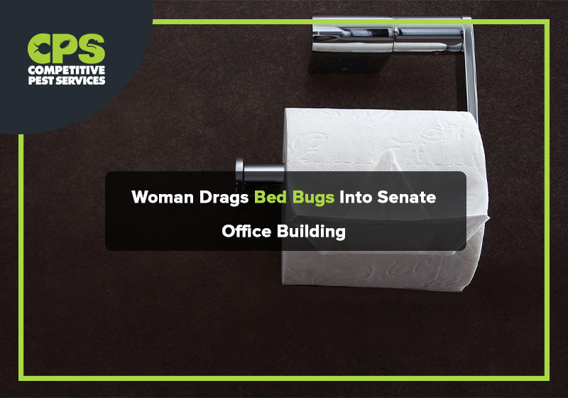 Woman Drags Bed Bugs Into Senate Office Building