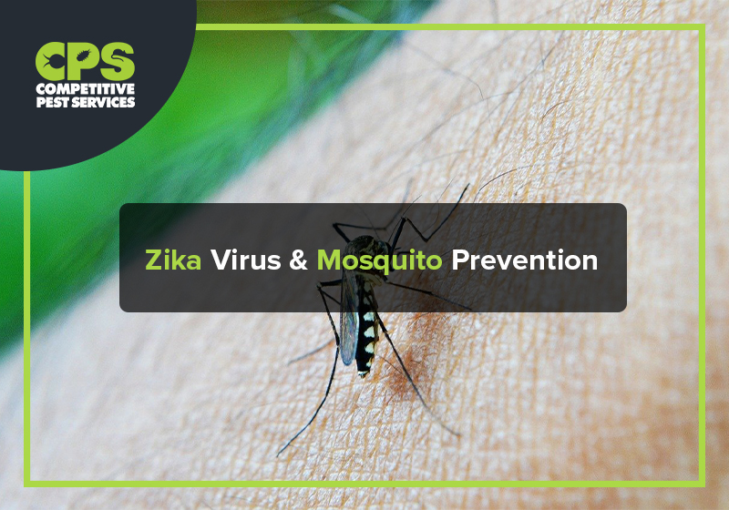 Zika Virus & Mosquito Prevention