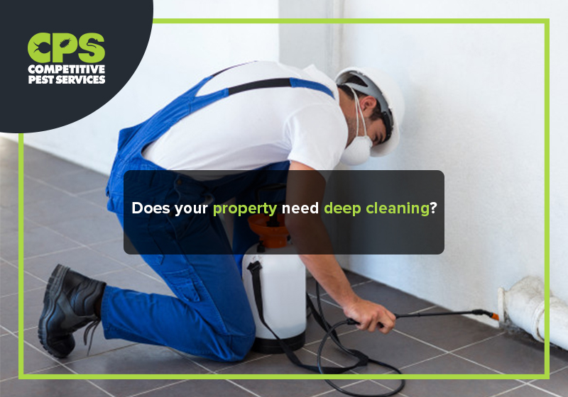 Does your property need deep cleaning?