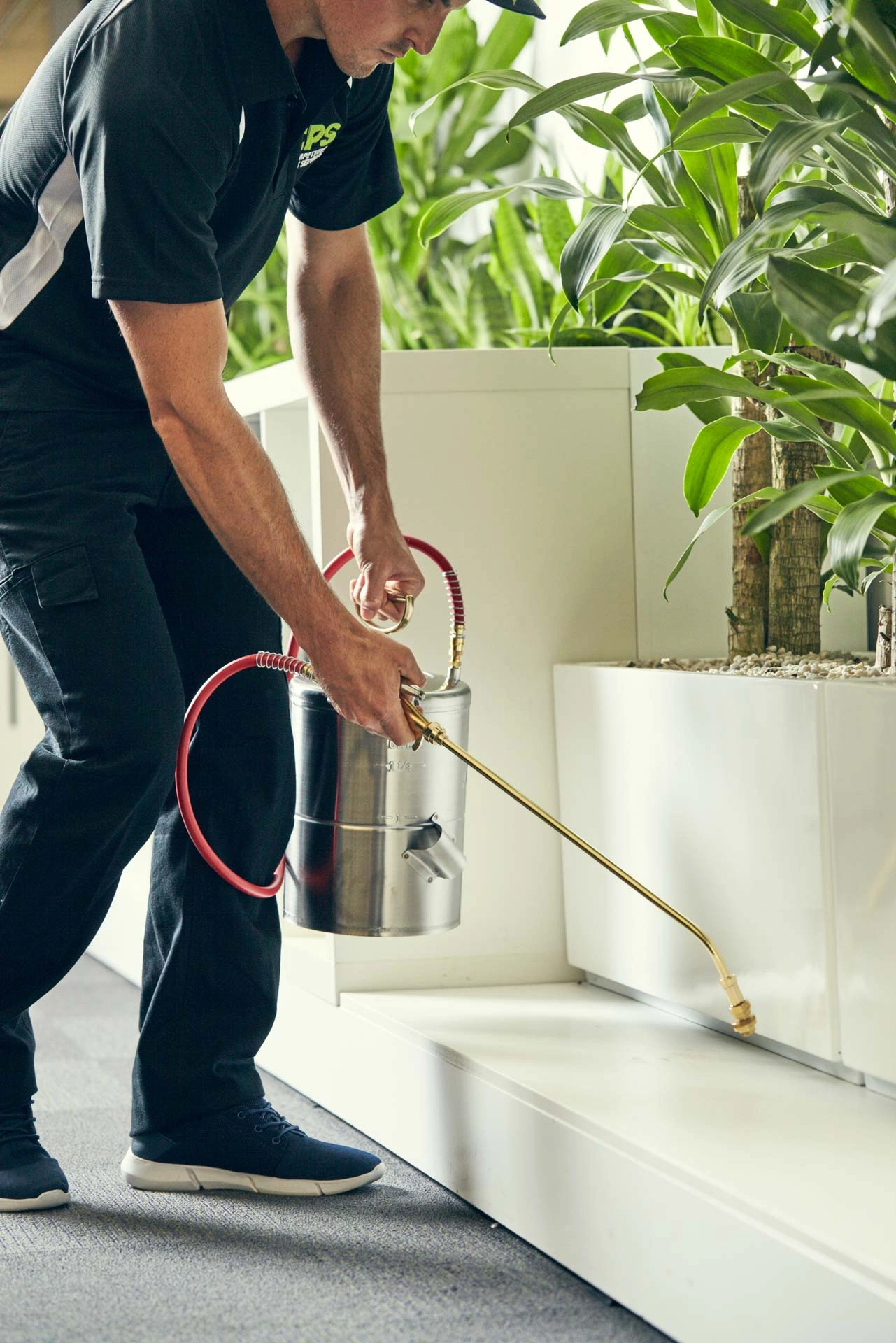 Moths Pest Control and Treatment