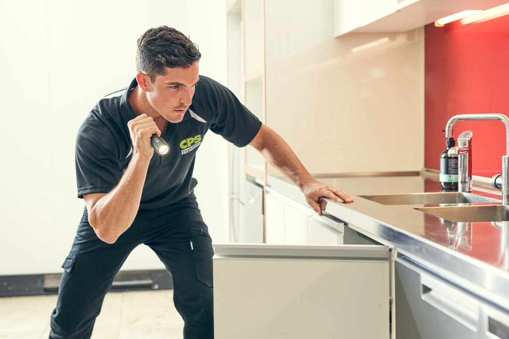 Termites Pest Control and Treatment