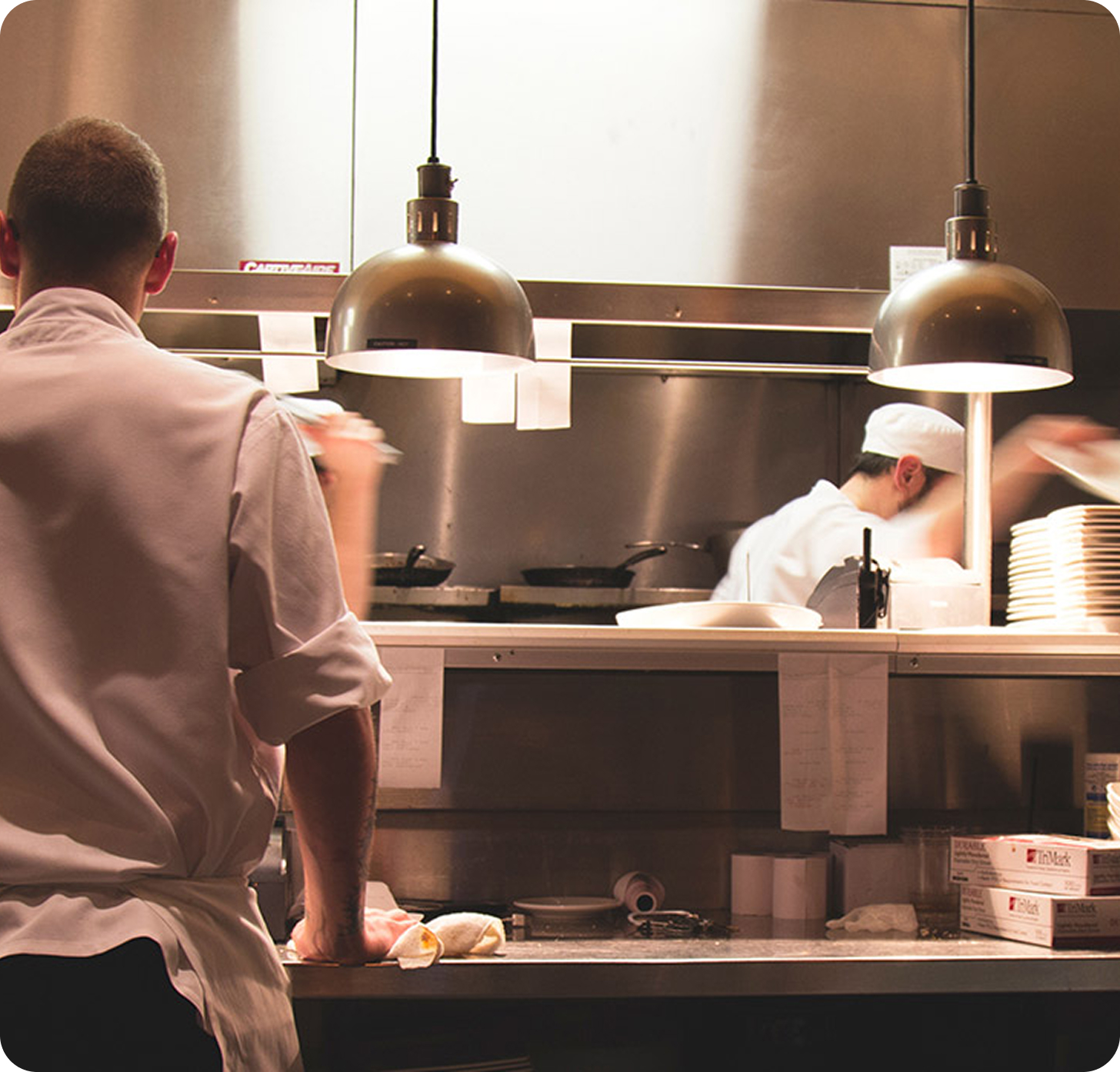 Food Service Pest Control