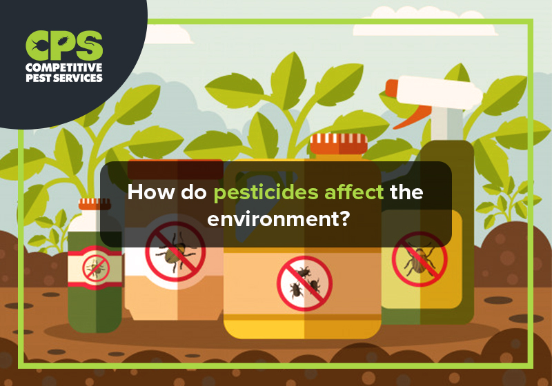 How do pesticides affect the environment?