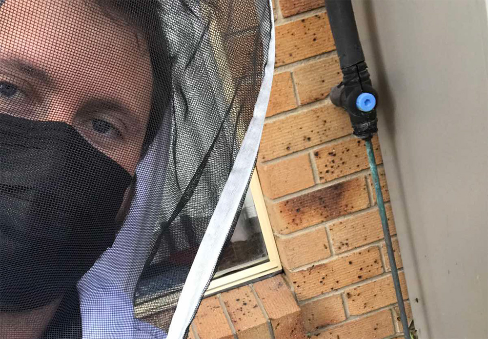 3 Minutes with Royce