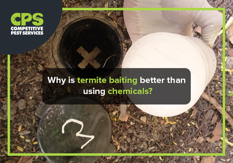 Why is termite baiting better than using chemicals?