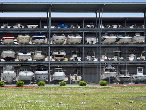 Marine industry bird control