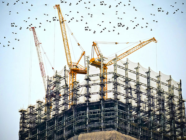 Construction industry bird control