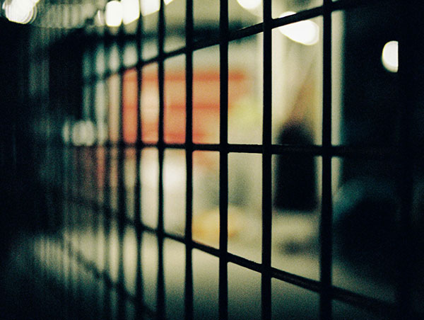 Correctional facility bird control