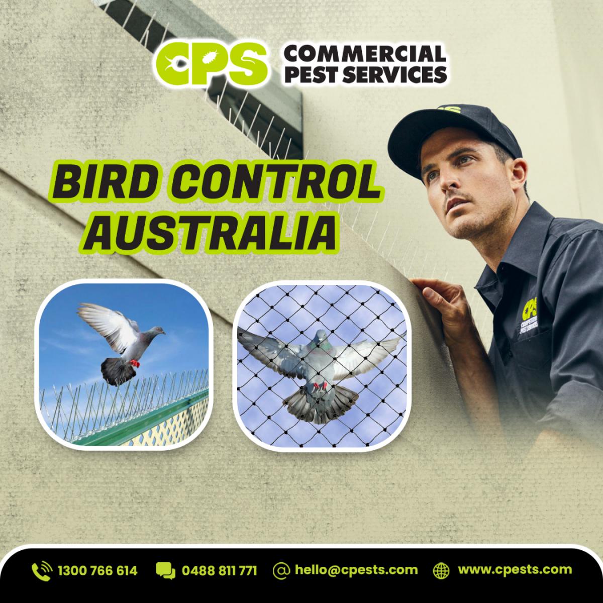 Bird Control Australia: Netting, Spikes & Prevention | CPS