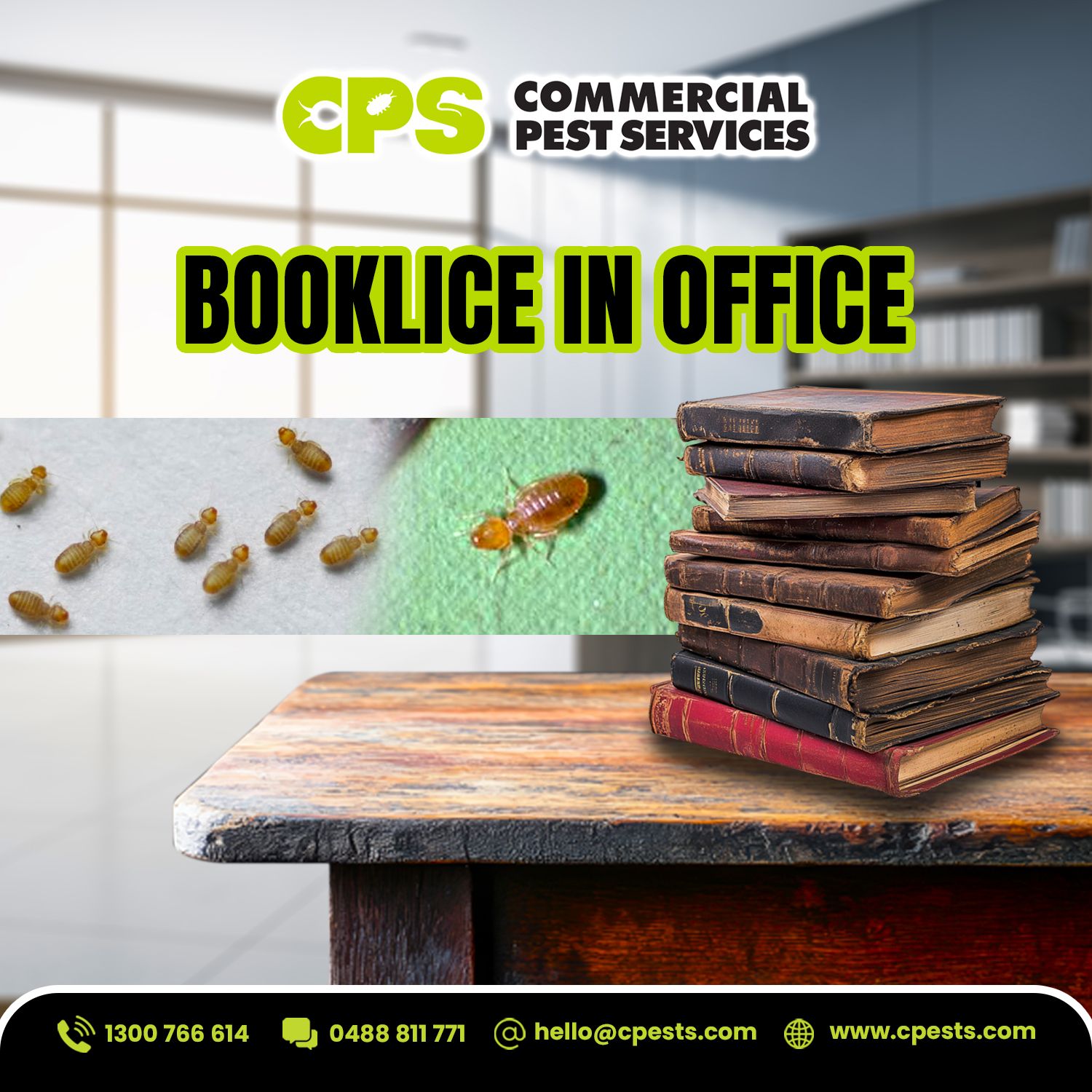 Booklice in Offices and Archives: The Moisture-Driven Pest Nobody Talks About