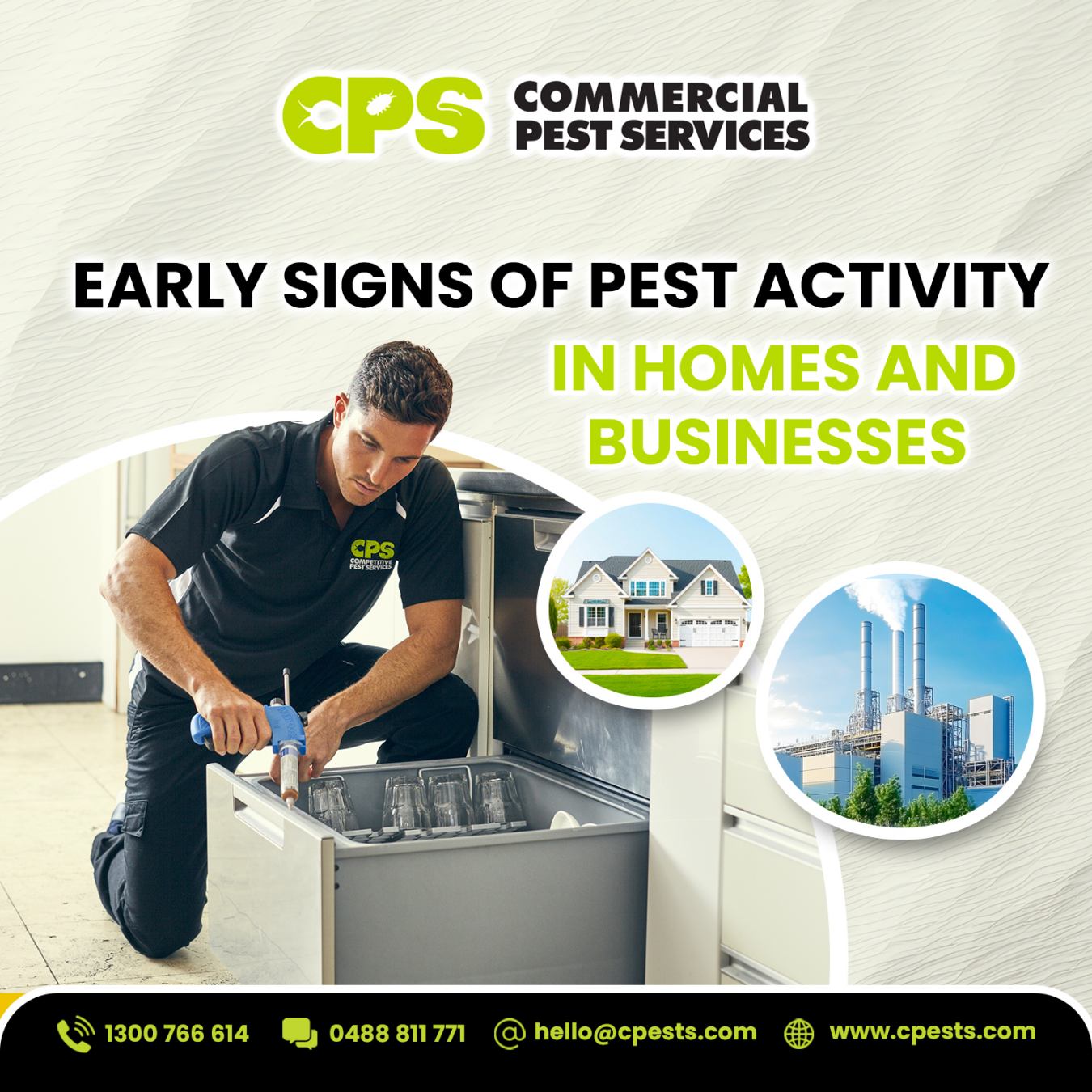 Early Signs of Pest Activity in Homes and Businesses