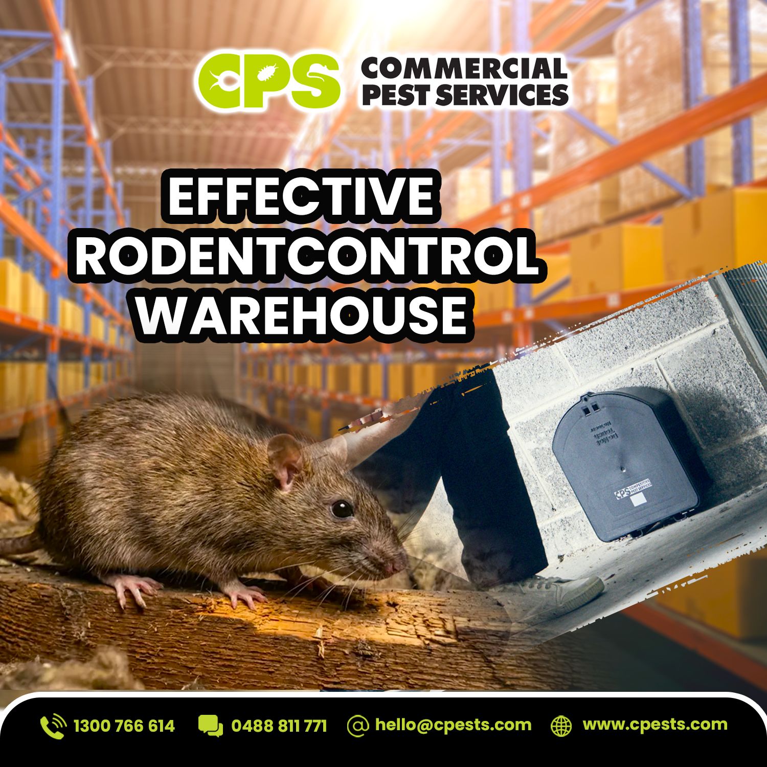 Effective Rodent Control Warehouse 