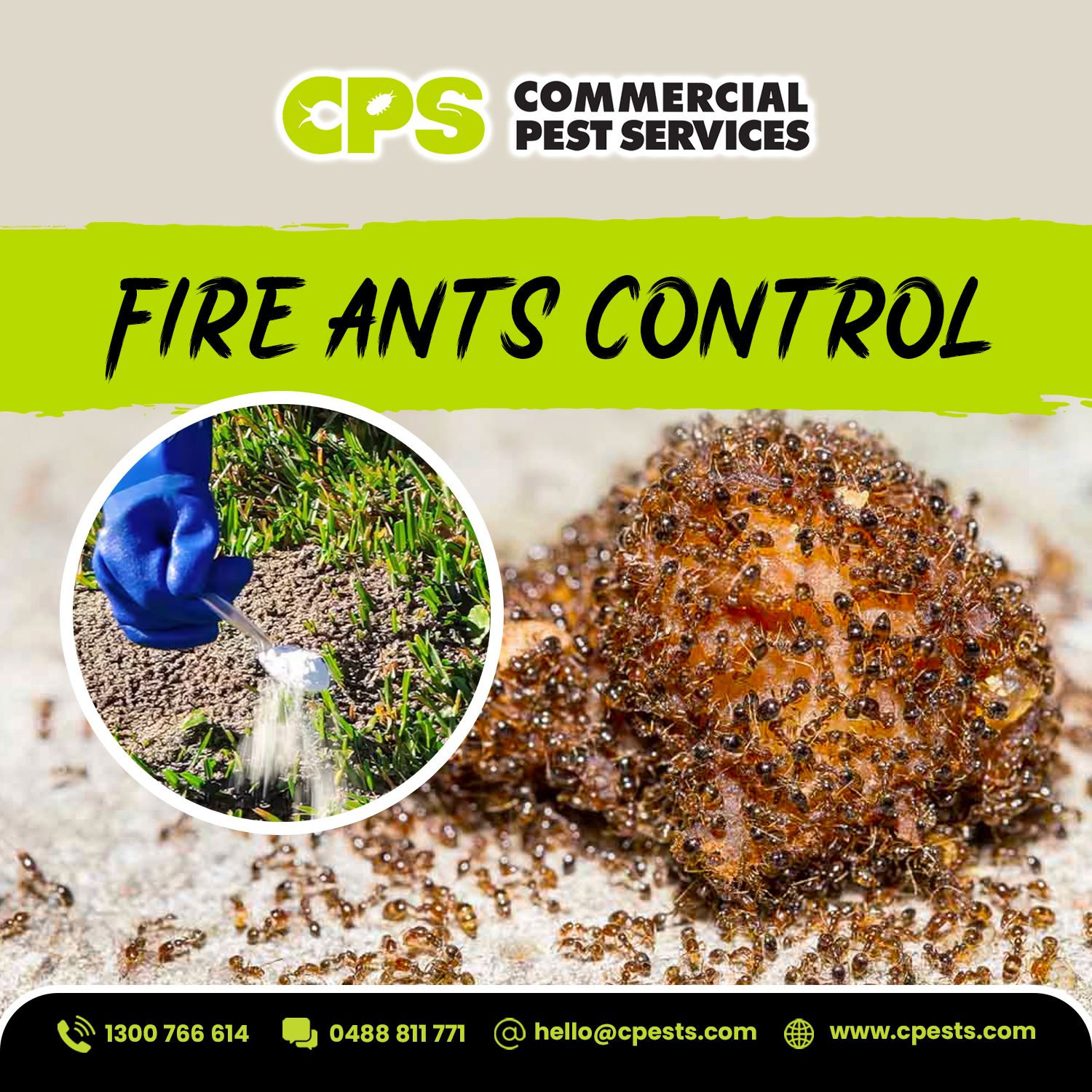 Fire Ants Control for Commercial Properties: A Practical Guide  