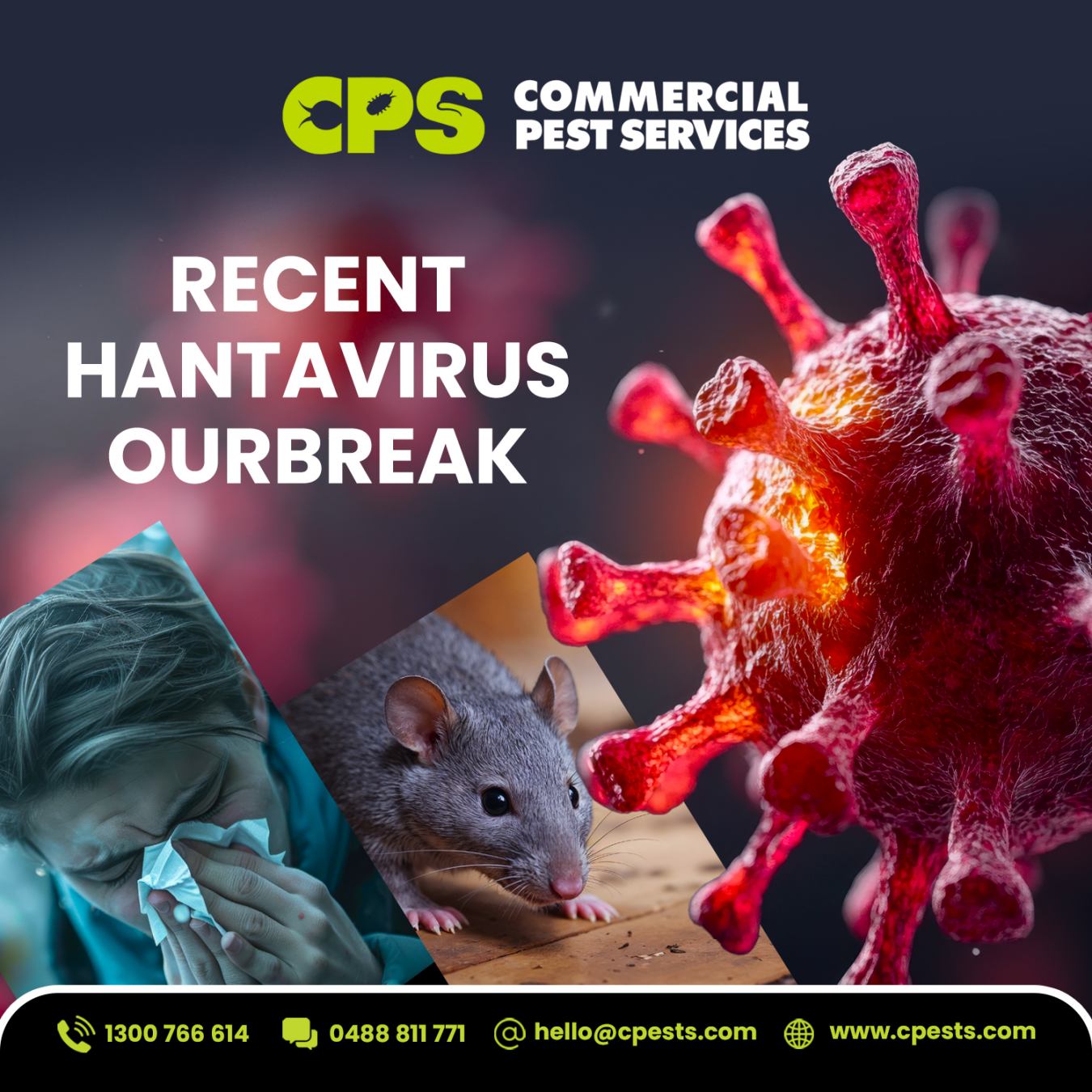 Hantavirus in the News: What Australians Should Know About Rodent Prevention