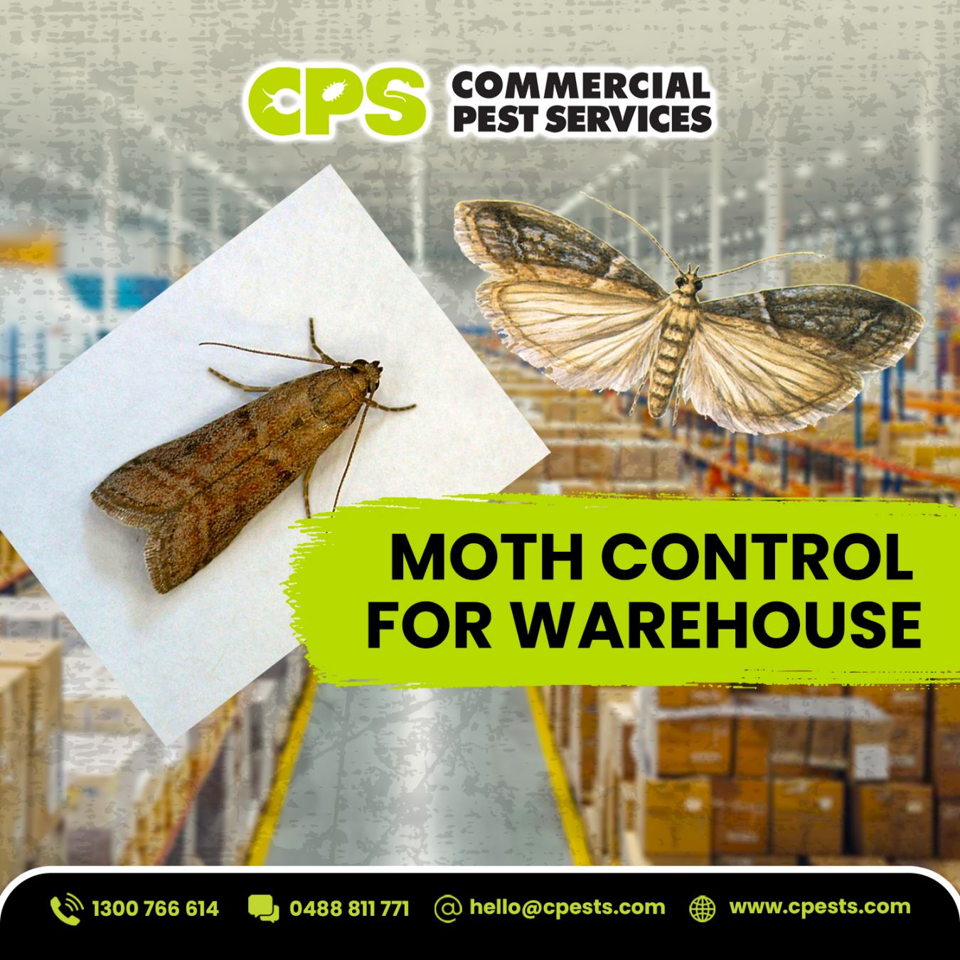 Moth Control for Warehouses and Textile Stores: A Complete Commercial Guide