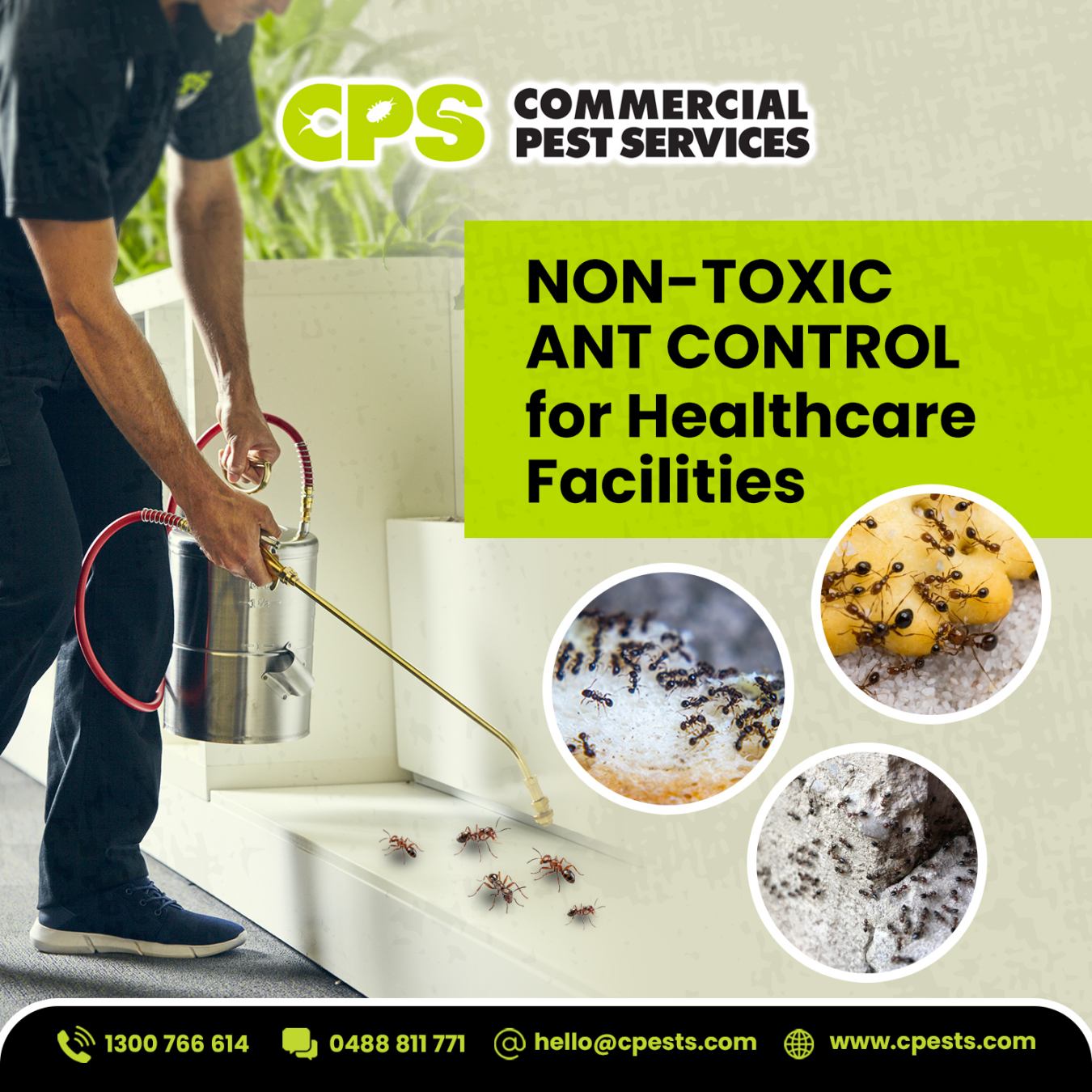 Non-Toxic Pest and Ant Control for Healthcare Facilities Without Compromising Patient Safety 