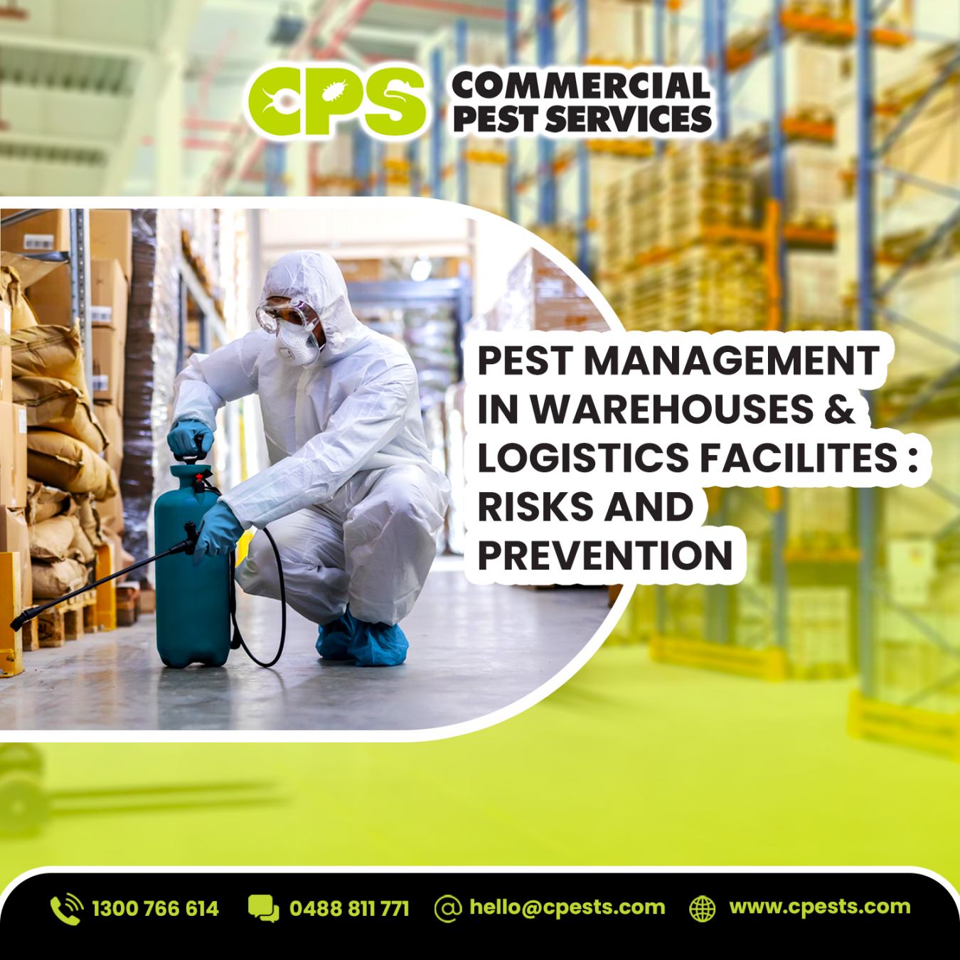 Pest Management in Warehouses: Risks & Prevention  