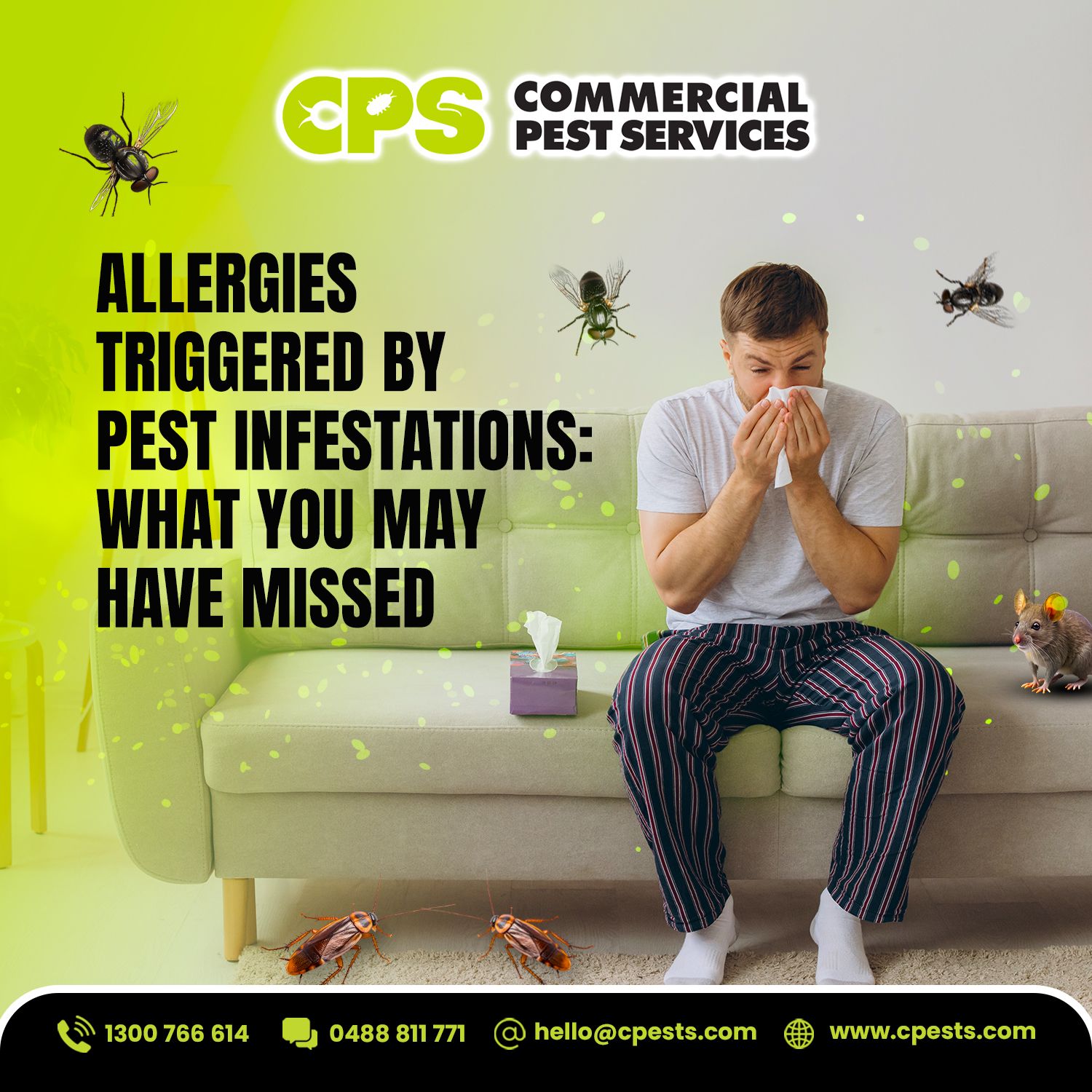 Pest Allergies and Pest Health Risks: Why Preventative Pest Measures Matter