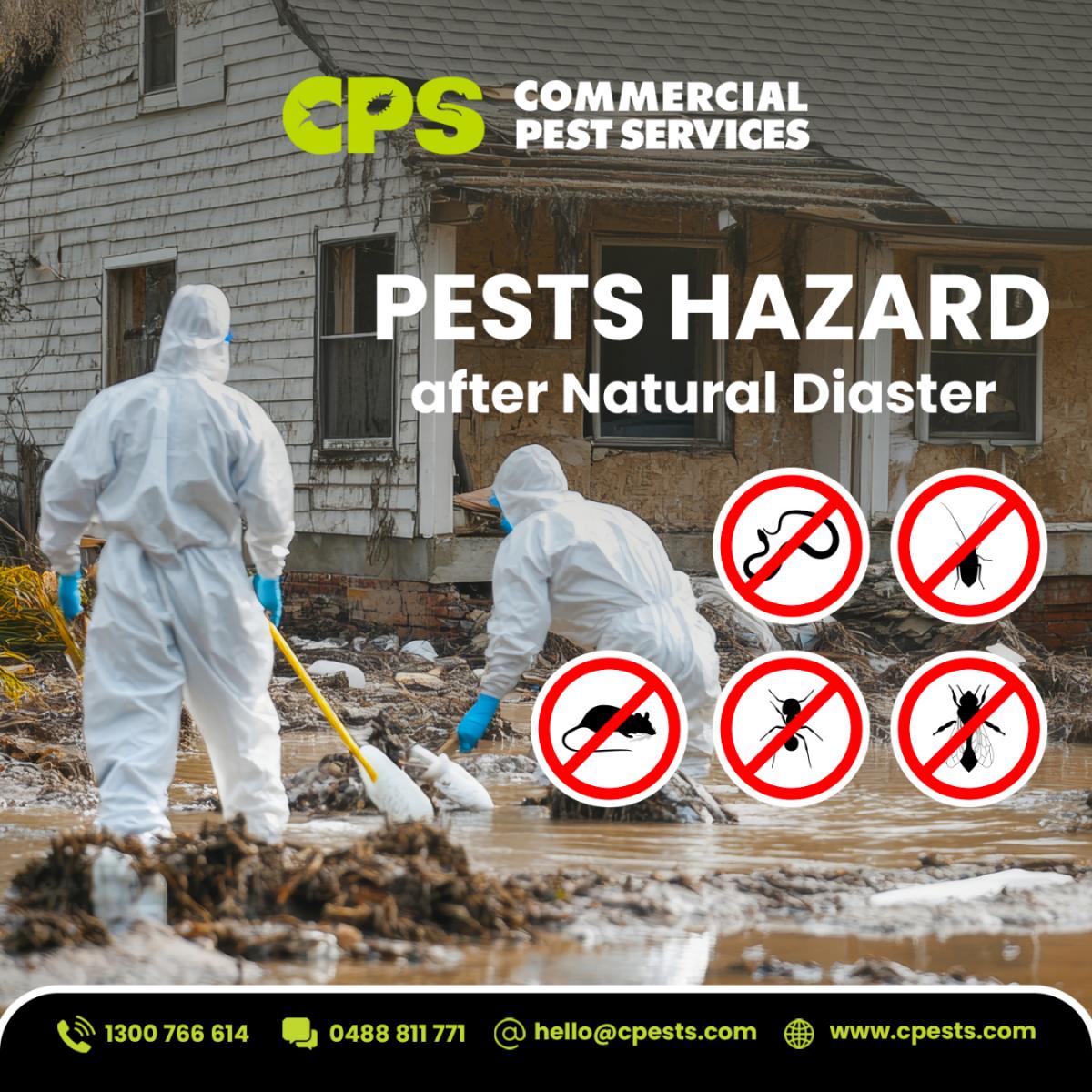 Pest Hazards After Natural Disasters in Australia & New Zealand 