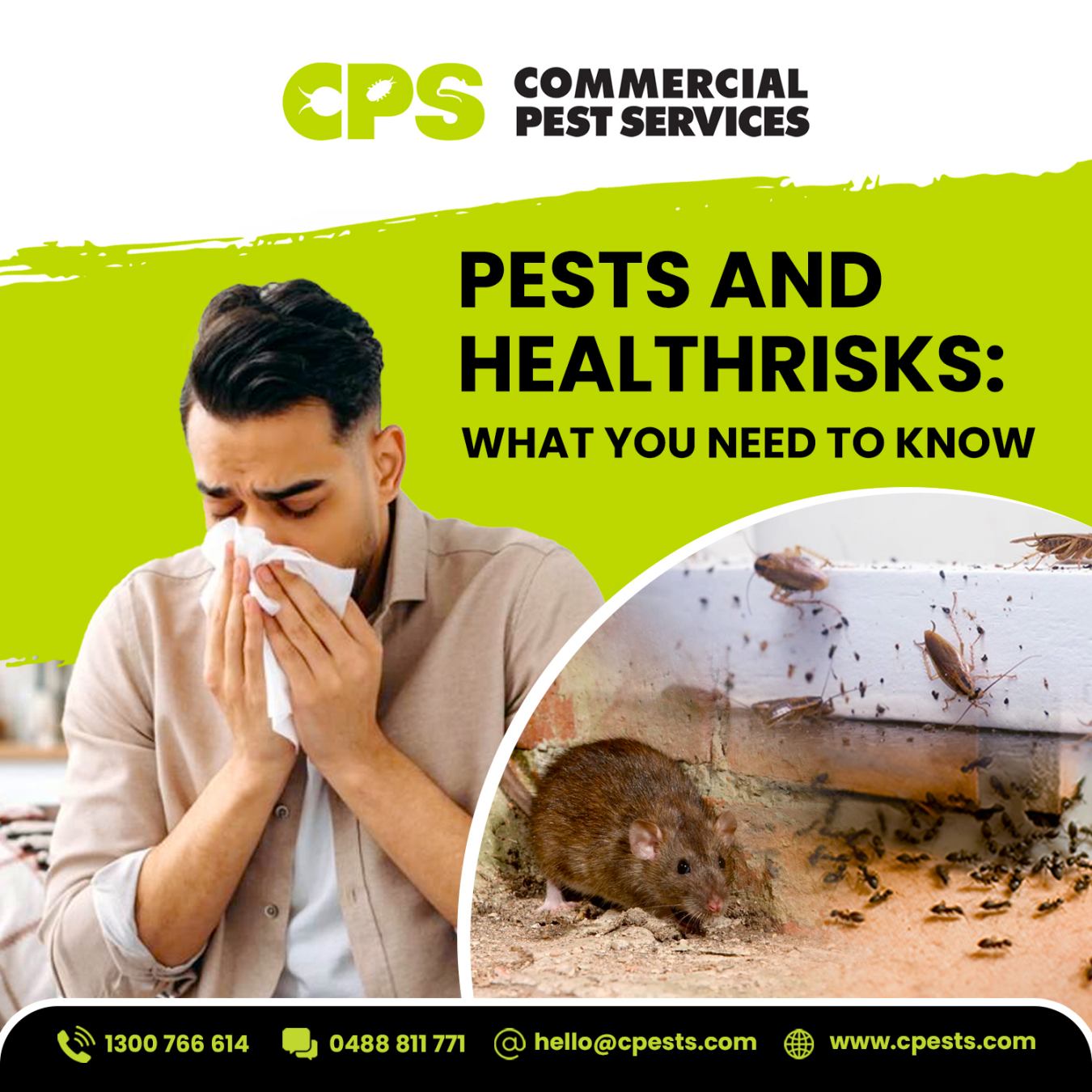 Pests Health Risks: What You Need to Know