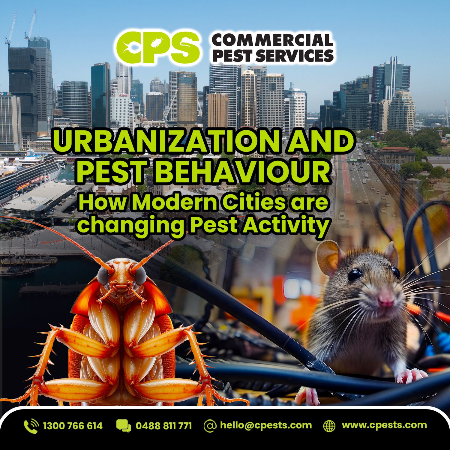 Urbanization and Pest Behavior: How Modern Cities Are Changing Pest Activity